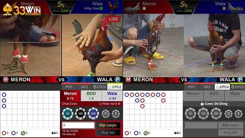 Hình thức đá gà thịnh hành nhất 33Win