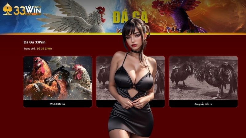 Tổng quan về đá gà 33Win