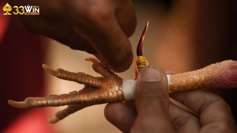 Đá gà cựa sắt 33Win là gì